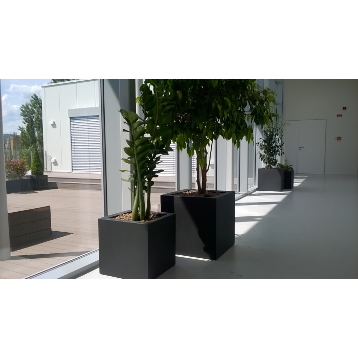profood-kube_10