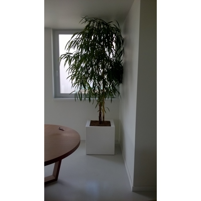 profood-kube_17