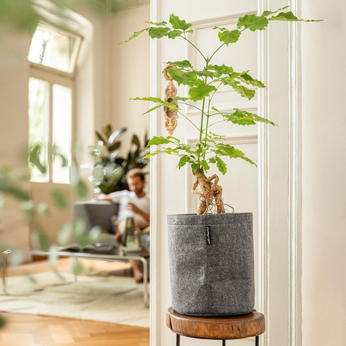 trendcover_23_felt_dark_grey_1834026428