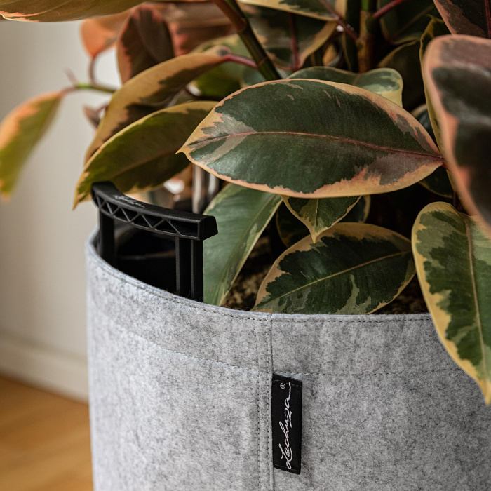 trendcover_32_felt_light_grey2_529711036