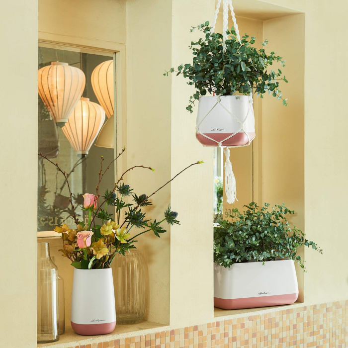 yula-flower-feher-rozsa4_203400528